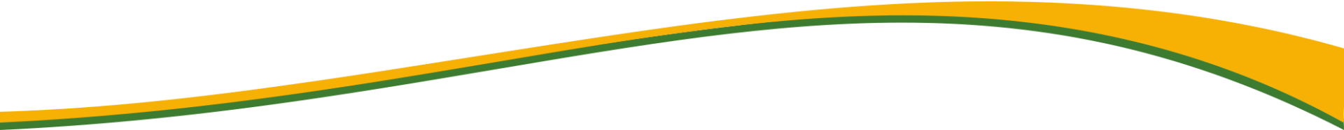 Cheyci Homemade Dog Food | Florida