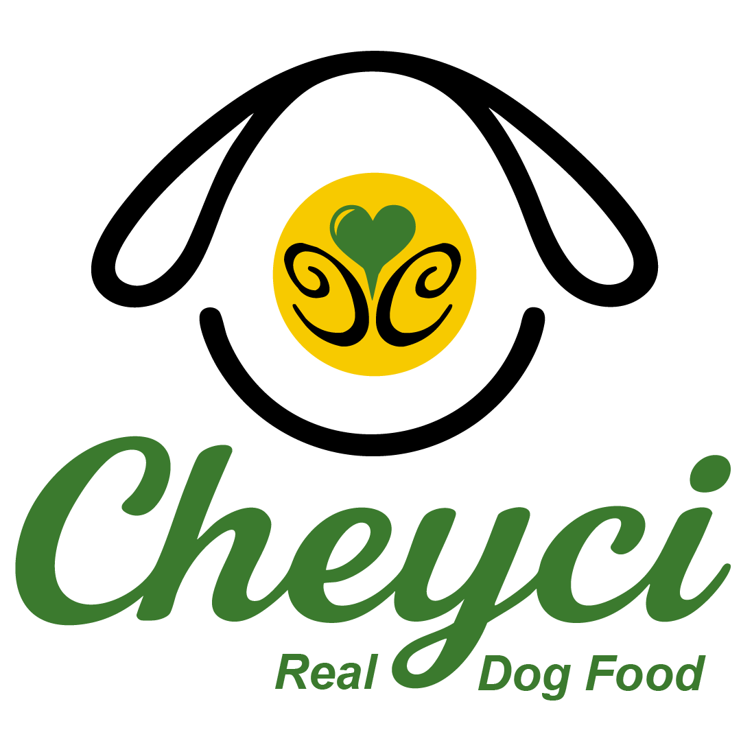 Cheyci Logo